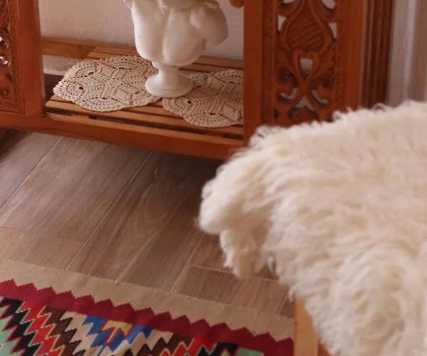 As E Vogel, As E Madhe Hotel